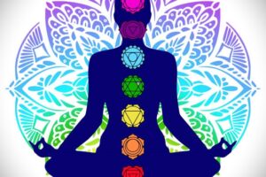 www.lifeevolutionacademy.org